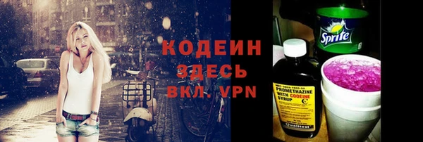 крисы Инта
