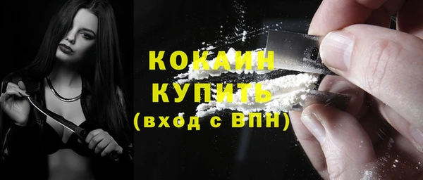 крисы Инта