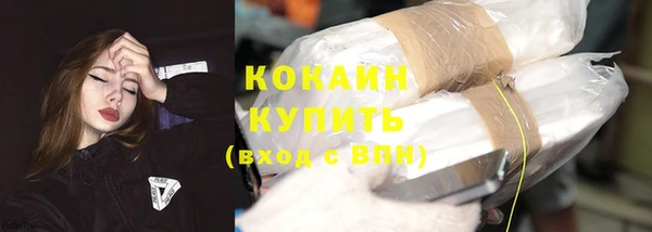 крисы Инта